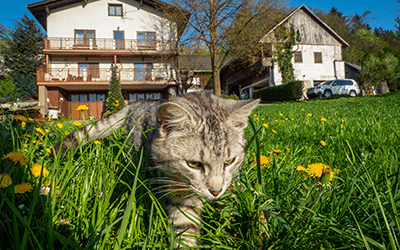 Bauernhof Waira, Fam. Schauer-Zeitlhofer