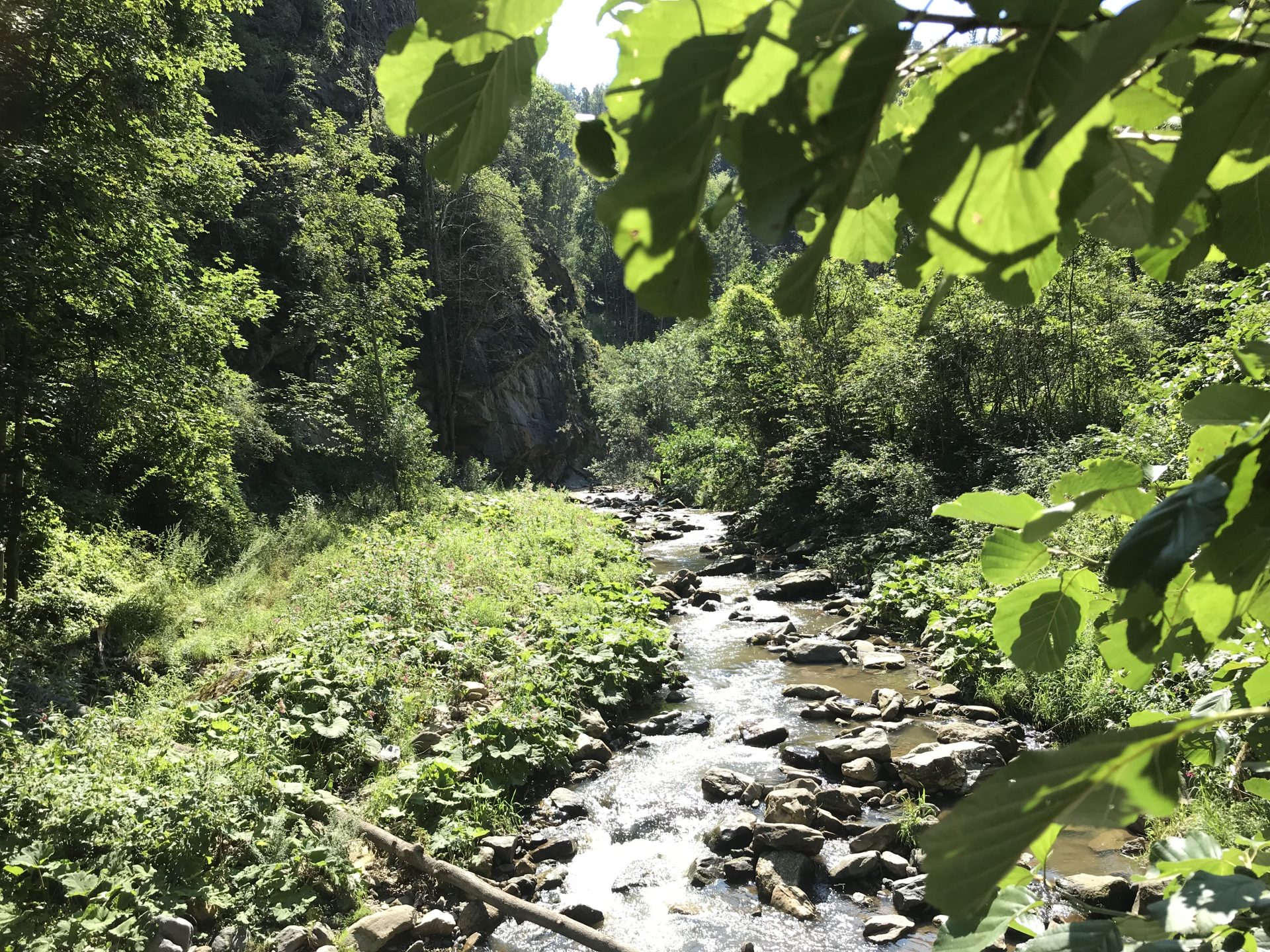 Im Kremstal unterwegs – Blog#4