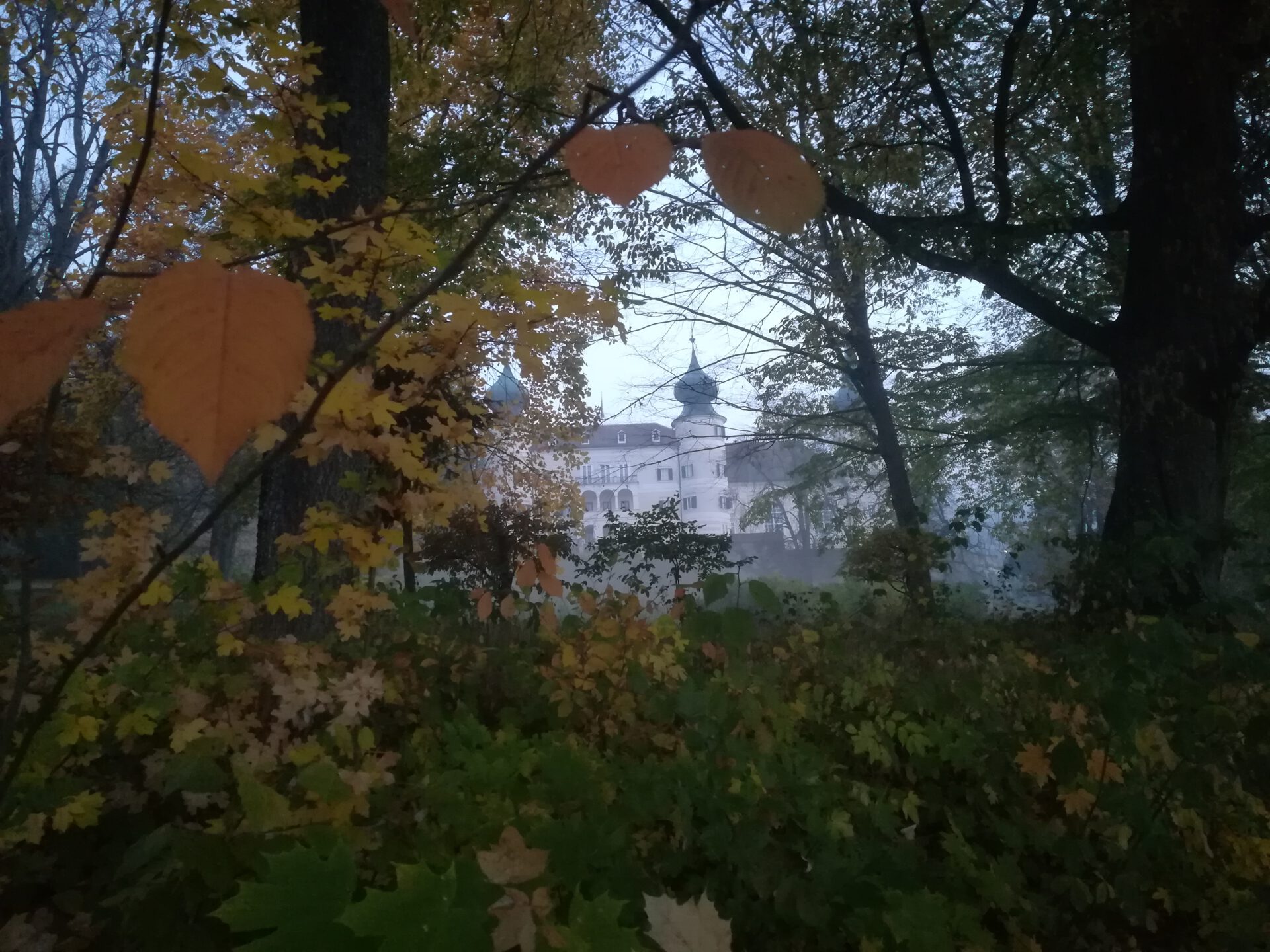 Begegnung am Lebensweg – innehalten Blog #9