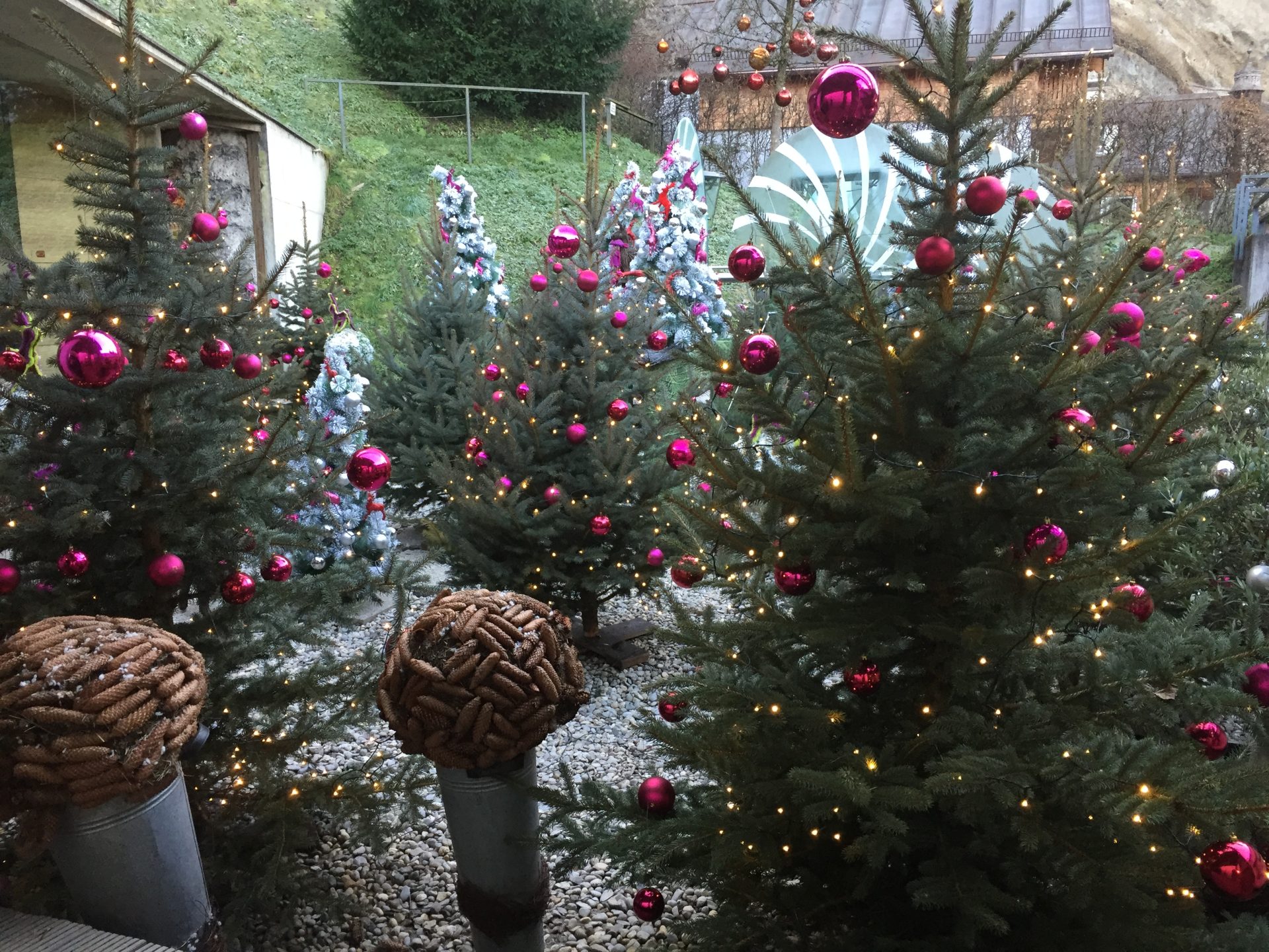 Advent – Lebensweg Blog #10