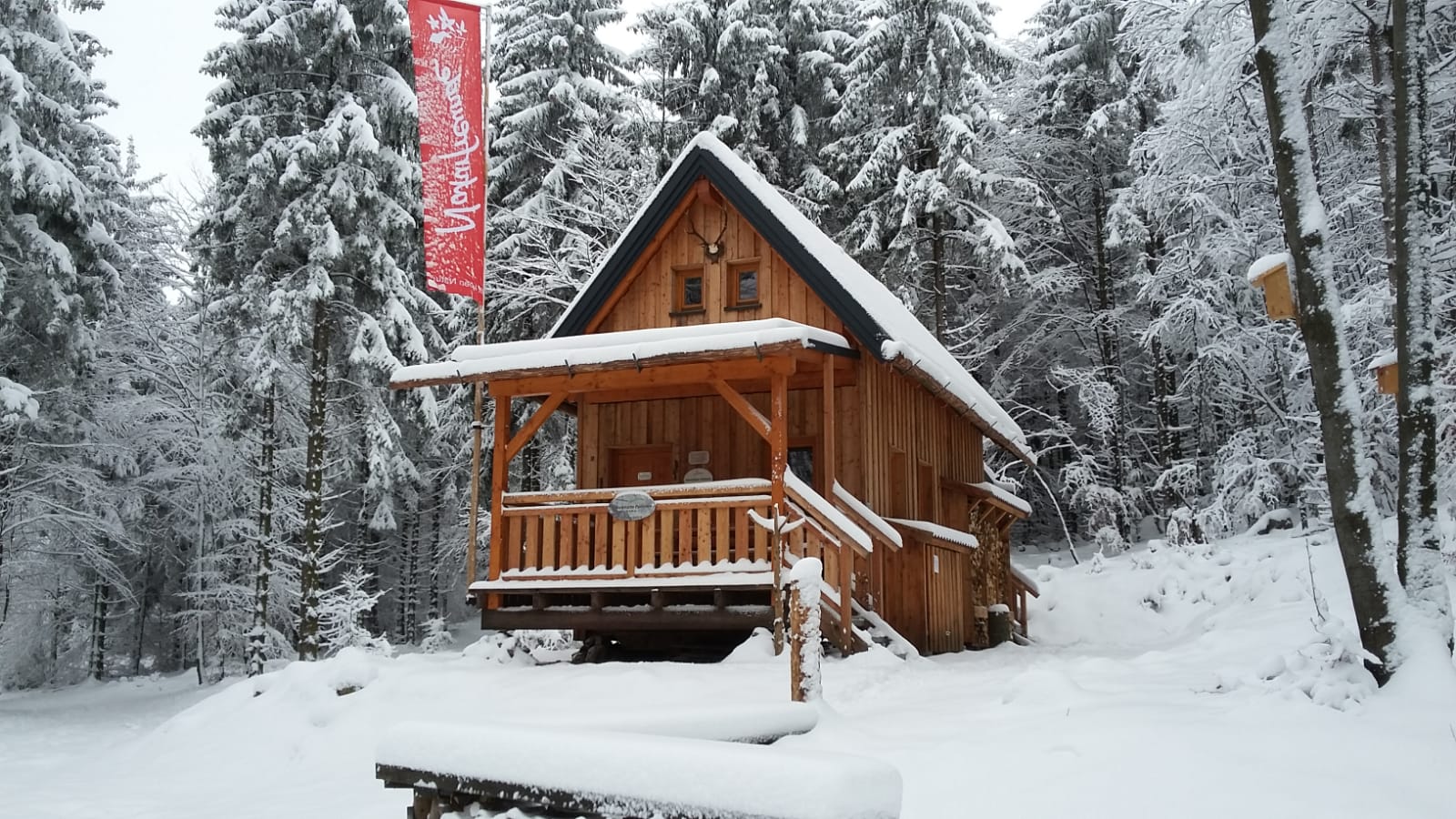 Wanderung auf den Peilstein Blog #12