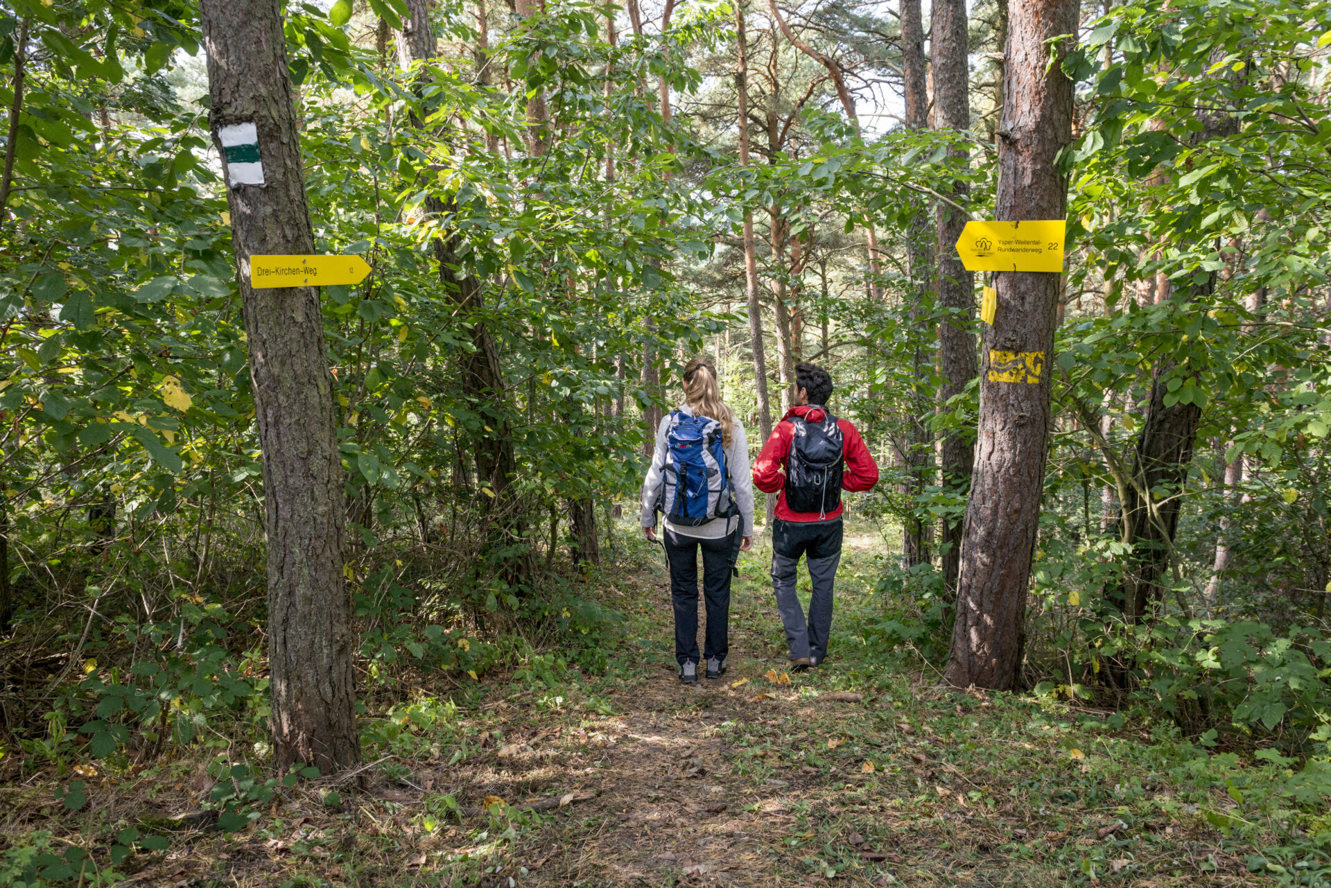 Fotografischer Rückblick auf die Lebensweg-Herbstwanderung 2019 Blog#47