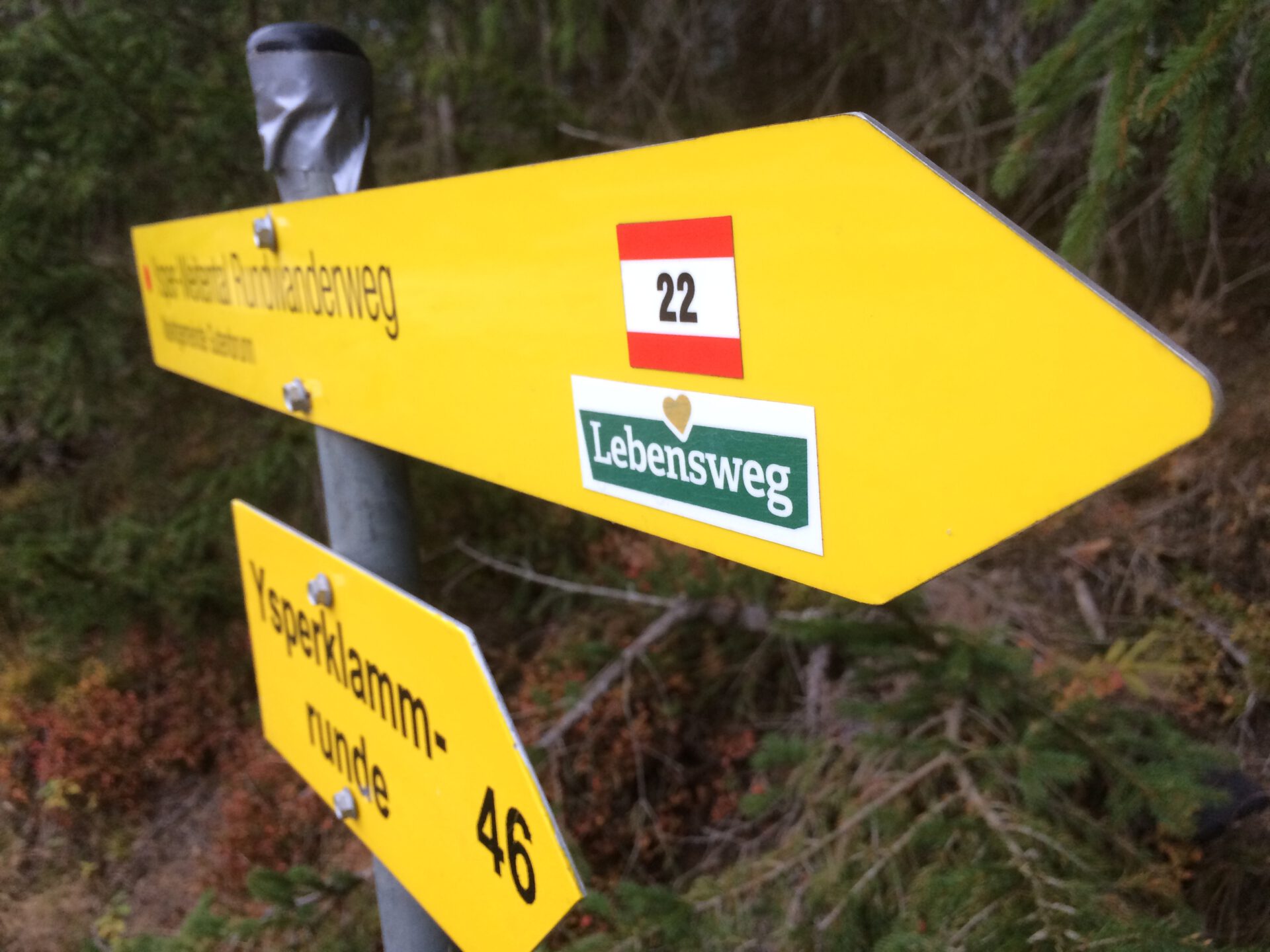 Das war das Lebenswegs-Jahr 2018  Blog #14