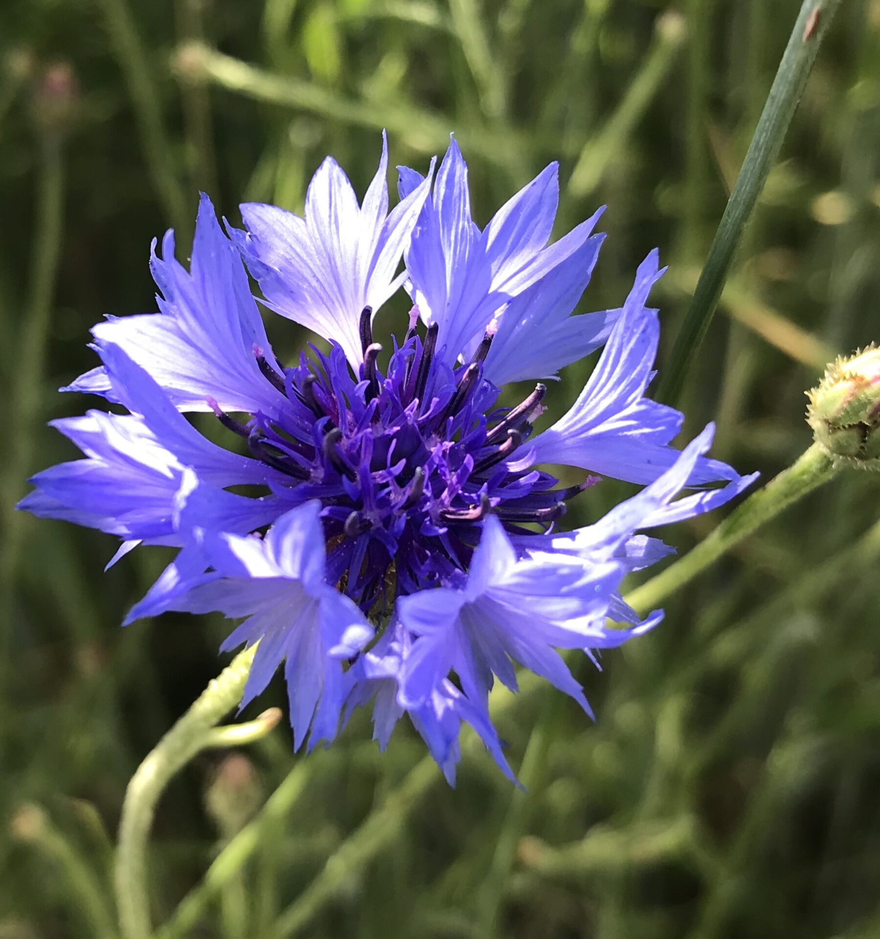 Sammeln besonderer  Eindrücke         Blog# 62