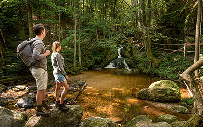 Ysperklamm – wildes Wasser, wilder Wald