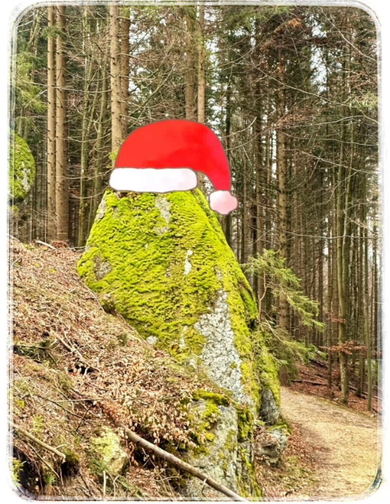 "Am Lebensweg, nahe dem Weinsberger Wald, zeigt sich die Natur von ihrer fröhlichen Seite: Der Stein mit Weihnachtsmütze wünscht besinnliche Feiertage!"