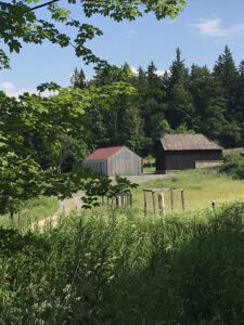 Romantisches Forsthaus im Königwald