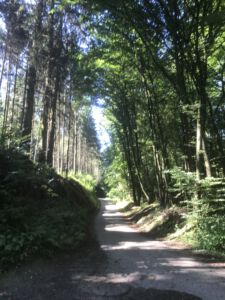 Am Weg nach Leiben