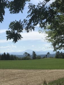Freier Blick übers Land vor Leiben