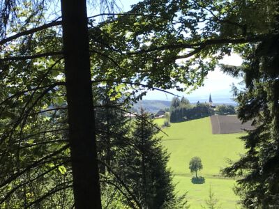 Blick auf St. Oswald