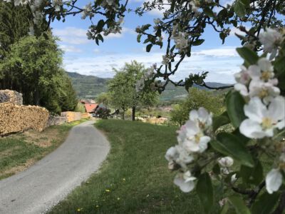 Romantischer Rückblick auf Zeining