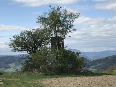 Dieser Fernblick auf dem Weg nach Weiten