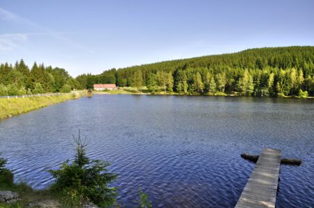 Schlesingerteich in Bärnkopf