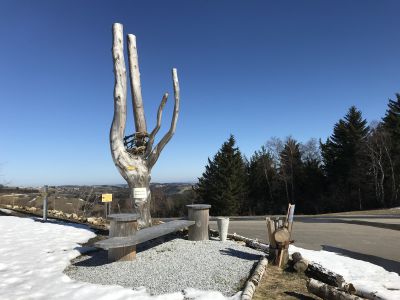 Aussichtswarte Brauneggg