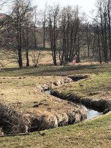 Die noch "junge" "Kleine Krems" bei Kirchschlag