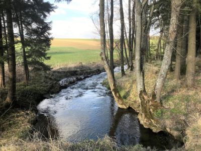 Große Krems bei Sallingberg