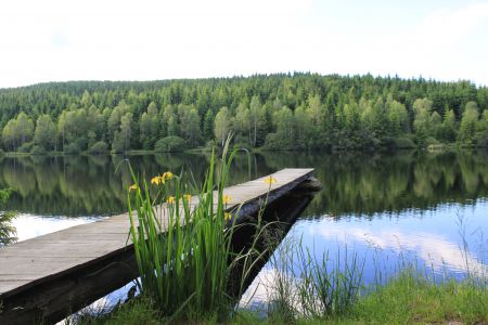 Schlesinger Teich in Bärnkopf Schlesingerteich © Tourismuverein Bärnkopf