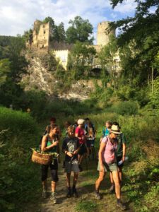 Waldviertelrunde 1 - Zeitreise im Kremstal, geführte Wanderung am 20. August 2019
