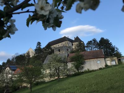 Kirche und Schloss in Albrechtsberg
