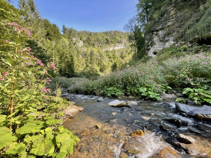 Entlang der Kleinen Krems