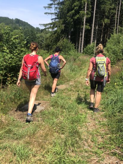 unterwegs 🥾 in der Stille des Waldes