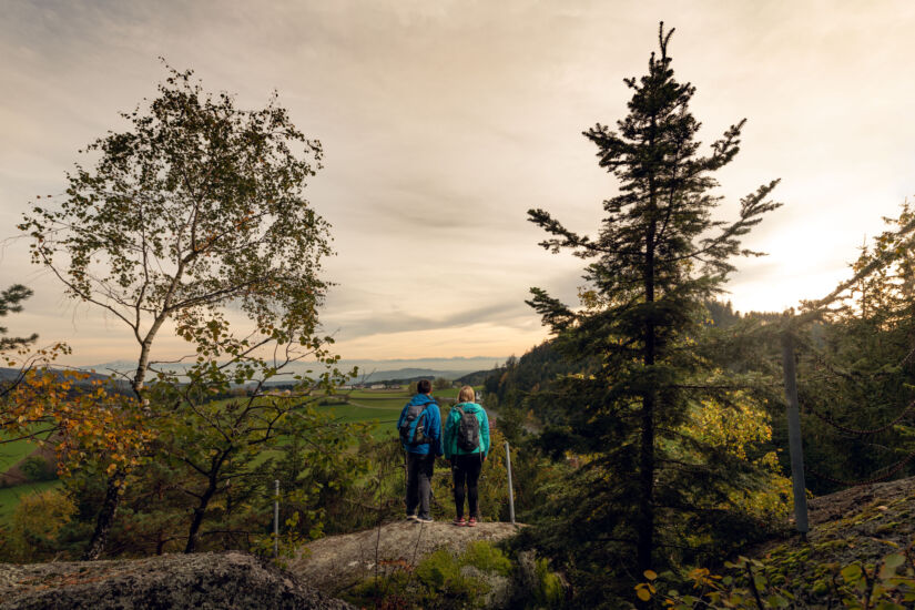 Hauptmann Mayer-Ruhe