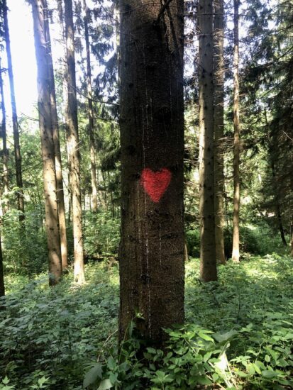 HerzBaum